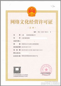 非游戏类网络文化经营许可证 含义、范围与申请要点